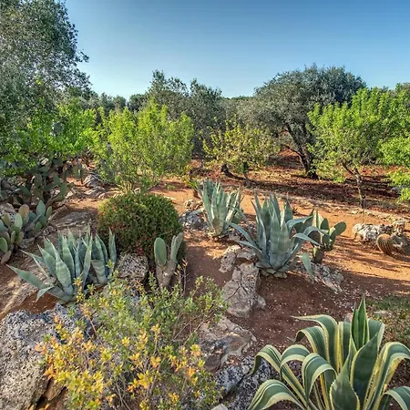 Trullo La Succulenta Villa Ceglie Messapica