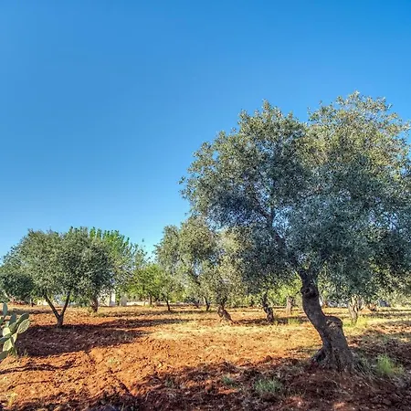 Trullo La Succulenta Villa