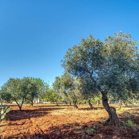 Trullo La Succulenta - Le Di Valentina Ceglie Messapica
