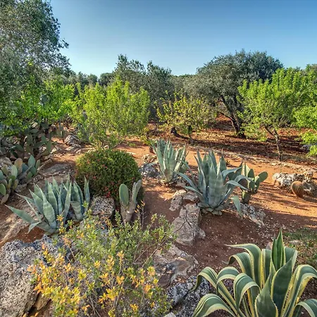 Trullo La Succulenta - Le Di Valentina Villa