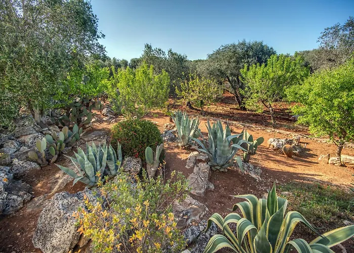 Trullo La Succulenta - Le Di Valentina Villa